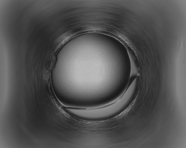 X0000086880985200705071158