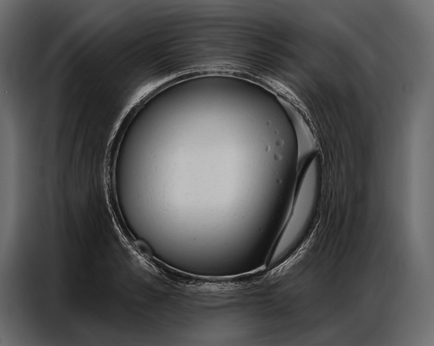 X0000086880989200705071158