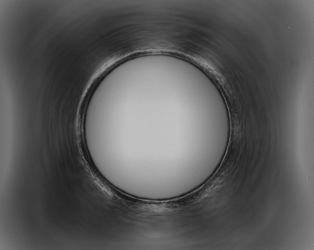 X0000086880990200705071158