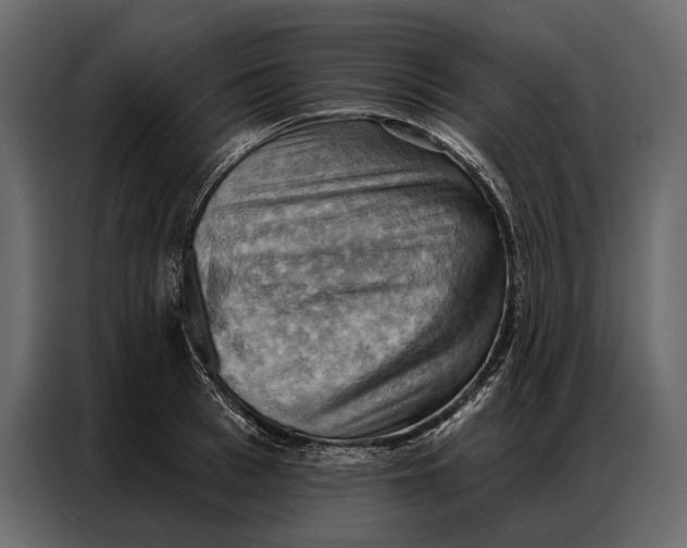 X0000086880993200705071158