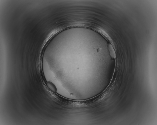 X0000086880994200705071158