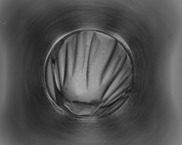 X0000086880996200705071158