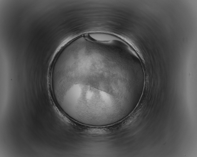 X0000086880998200705071158