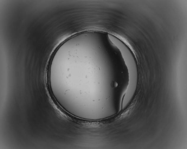 X0000086880999200705071158