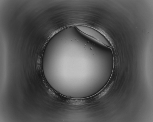 X0000086881001200705071158