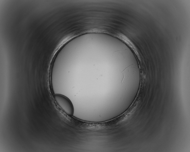 X0000086881002200705071158