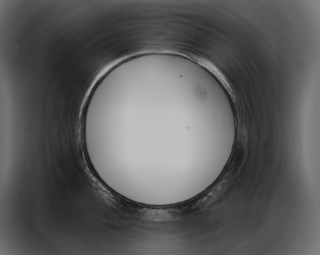 X0000086881004200705071158