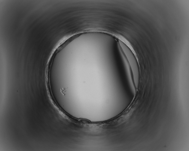 X0000086881005200705071158