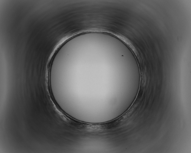 X0000086881006200705071158