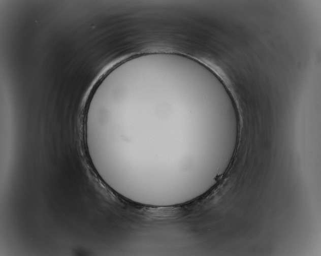 X0000086881008200705071158