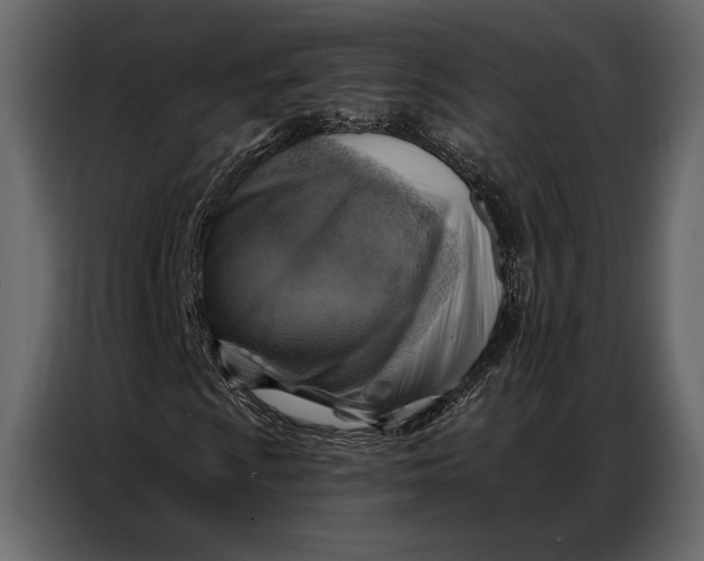 X0000086881009200705071157