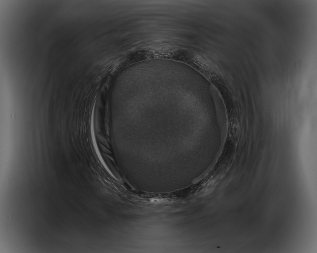 X0000086881010200705071157