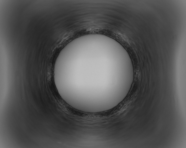 X0000086881012200705071157