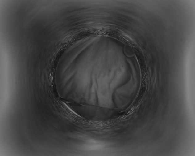 X0000086881013200705071157