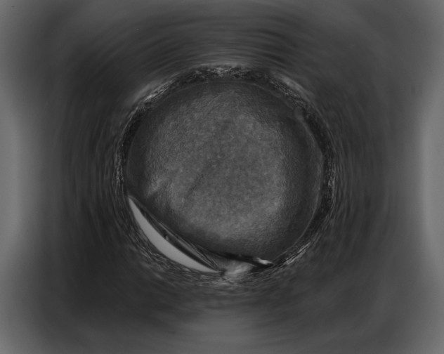 X0000086881014200705071157