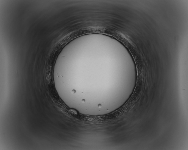 X0000086881015200705071157