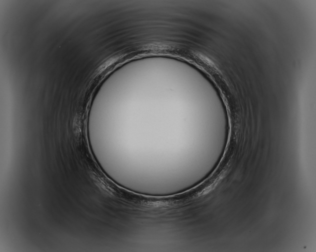 X0000086881017200705071157