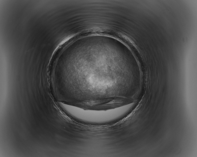 X0000086881018200705071157