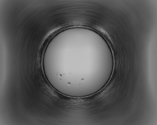 X0000086881019200705071157