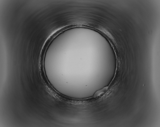 X0000086881020200705071157