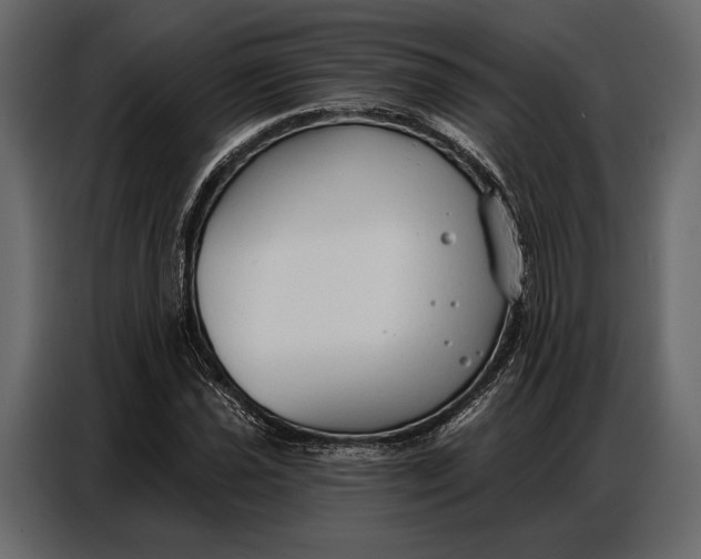 X0000086881021200705071157