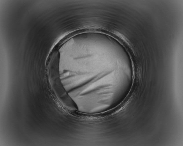 X0000086881022200705071157