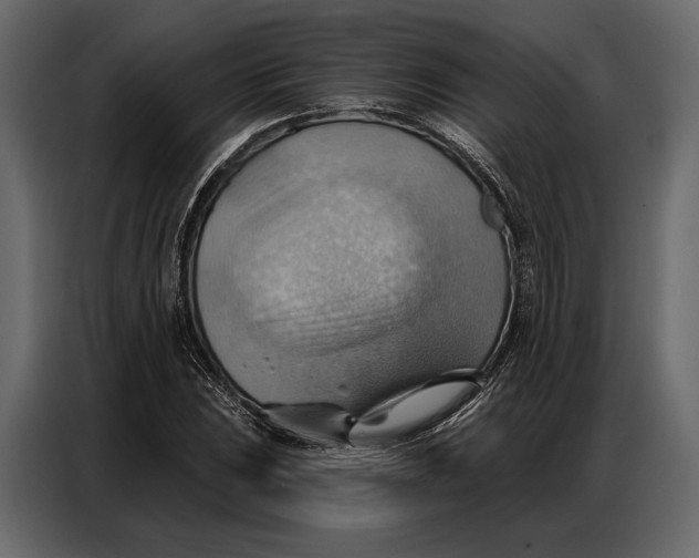 X0000086881023200705071157