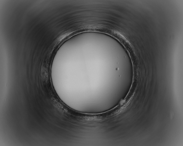 X0000086881025200705071157