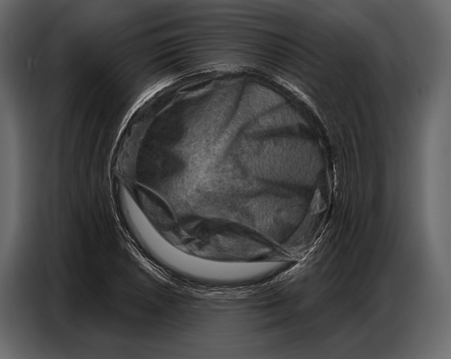 X0000086881026200705071157