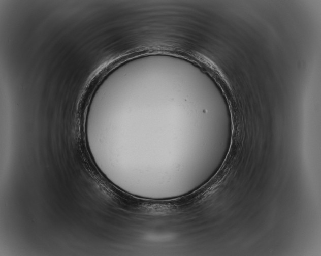 X0000086881027200705071157