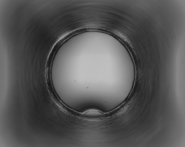 X0000086881029200705071157