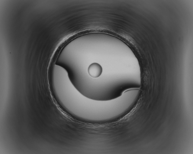 X0000086881030200705071157