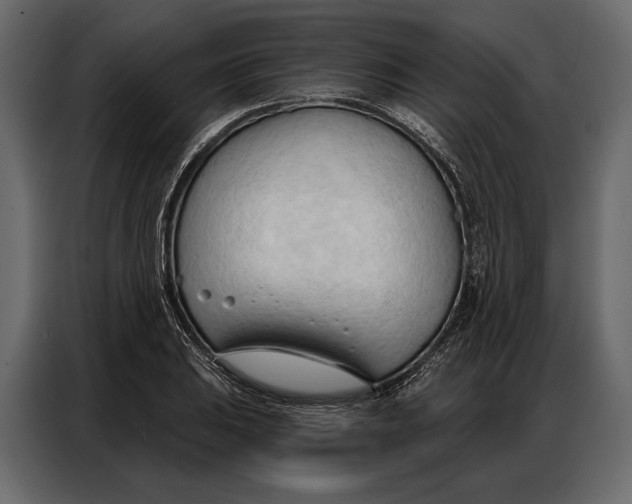 X0000086881031200705071157