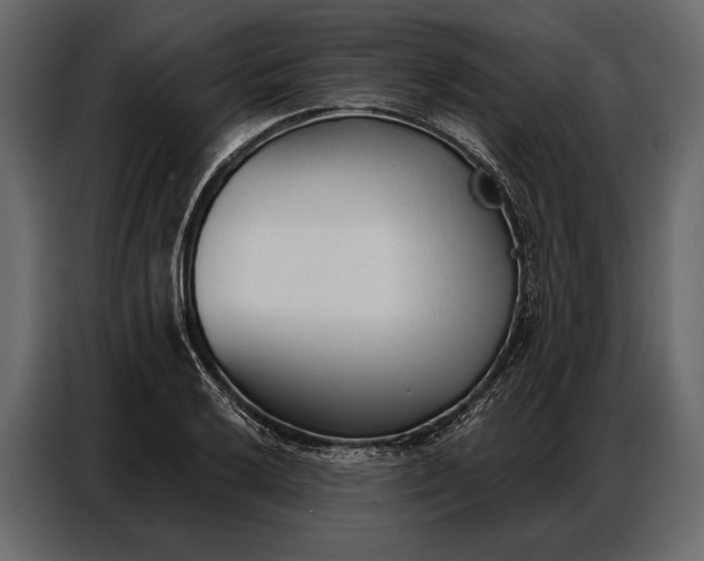 X0000086881032200705071157