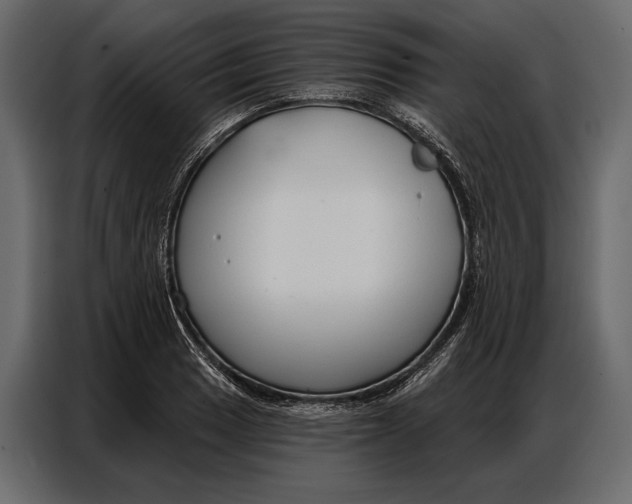 X0000086881033200705071157