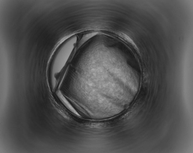 X0000086881035200705071157