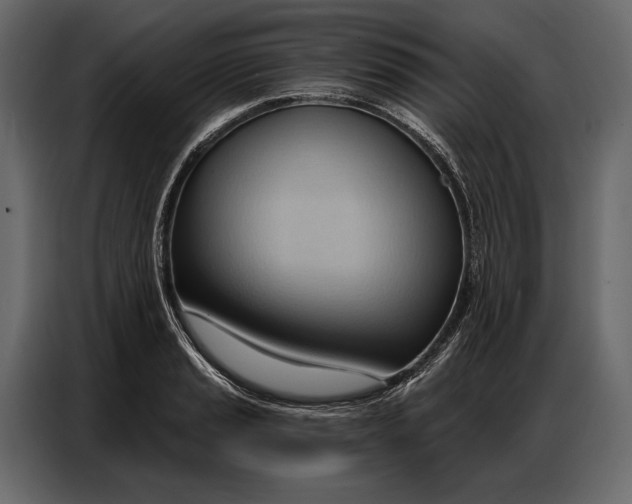 X0000086881037200705071157