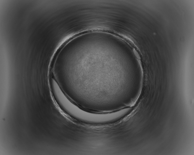 X0000086881038200705071157