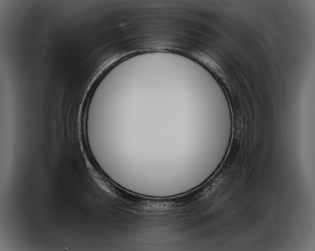 X0000086881039200705071157