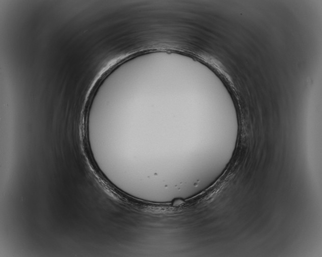 X0000086881040200705071157