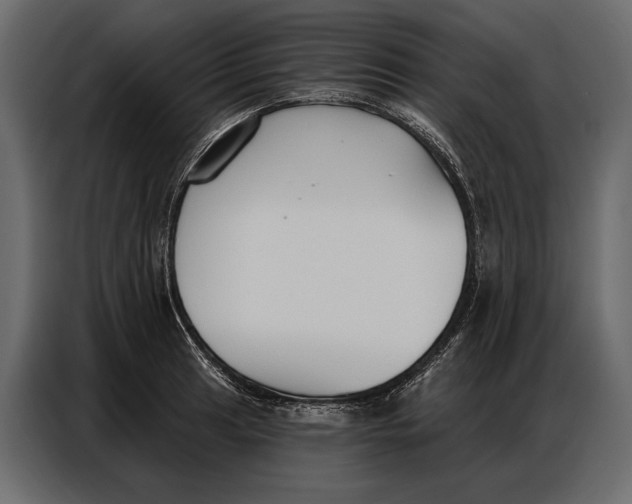 X0000086881041200705071157