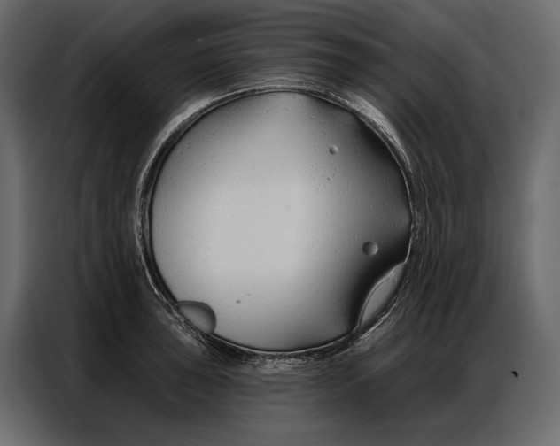 X0000086881043200705071157