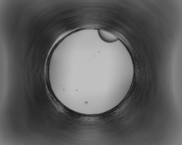 X0000086881044200705071157