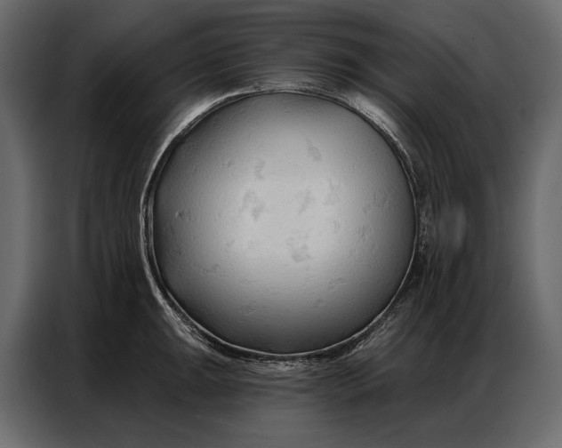 X0000086881047200705071158