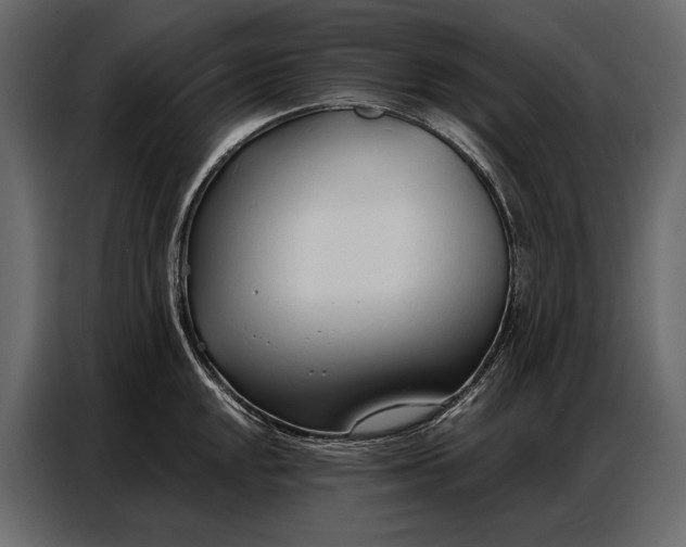 X0000086881048200705071158