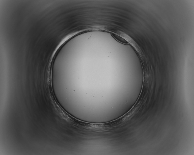 X0000086881052200705071158