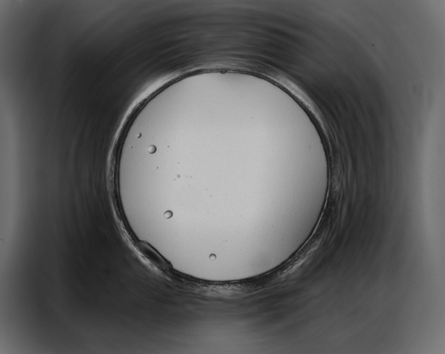 X0000086881053200705071158