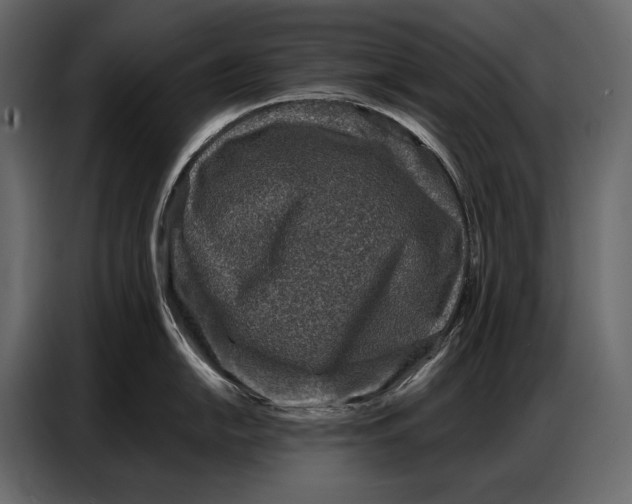 X0000086881054200705071158