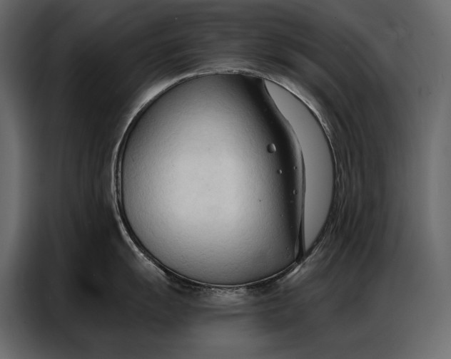 X0000086881055200705071158