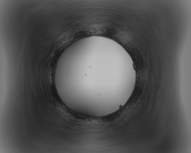 X0000086881058200705071157